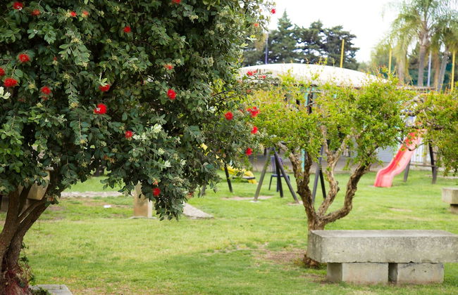 Il Contadino - Foto 25