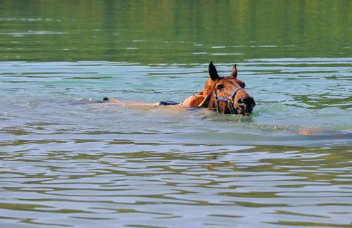 Apartment Ana by Interhome - Foto 109