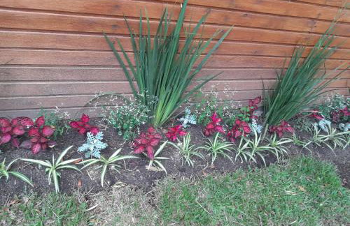 Cabanas dos Pinheiros - Foto 24