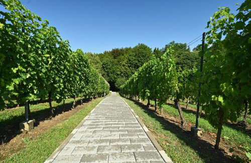 The Cozy Chalet - Foto 4