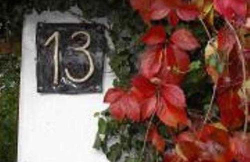 Ferieninsel an der Dreisam - Foto 24