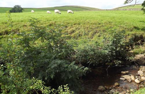 Skellgill House - Foto 11