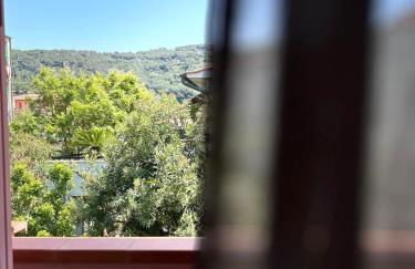 Agave Marina - Foto 30