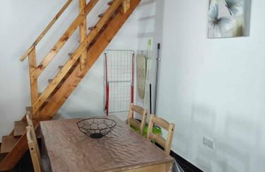 Di&Ana II - Alojamento Redondo - Foto 13