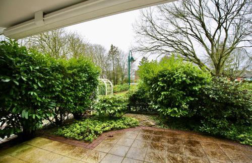 Nautilus Aurora - Foto 4