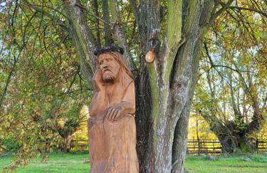 Rezydencja Golland - Foto 33