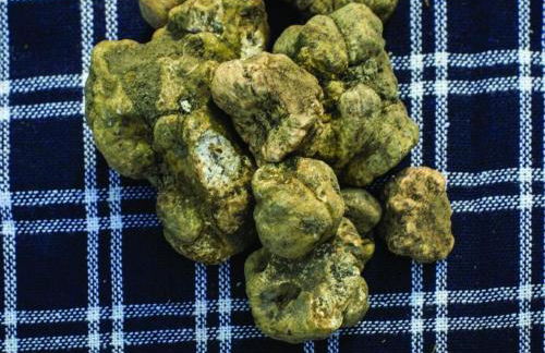 Apartment Villa Pesce-Dolcetto by Interhome - Foto 14