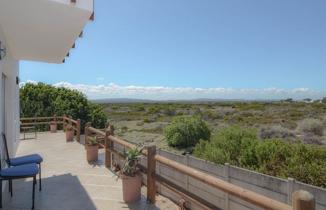 The Happy Cactus - Foto 44