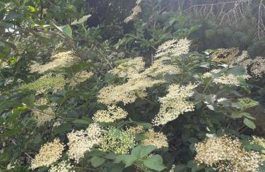 The Cabin - Photo 25