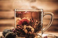 Villa Gaia Trikala - Foto 54