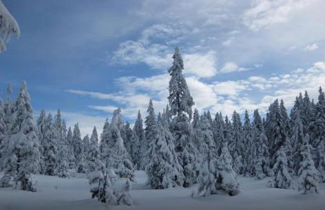 Ferienwohnung BEER - Photo 12