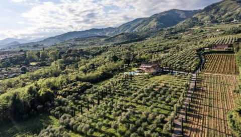 Casale rinnovato immerso nella campagna con splendida piscina privata - Foto 3