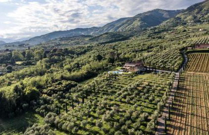 Casale rinnovato immerso nella campagna con splendida piscina privata - Foto 3