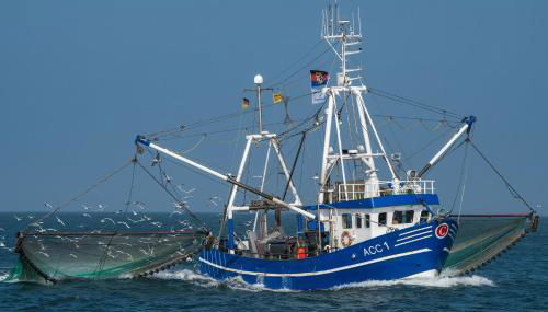 Top EG Rollstuhlwohnung 80qm zum Frühjahr- und Sommerpreis - Foto 5