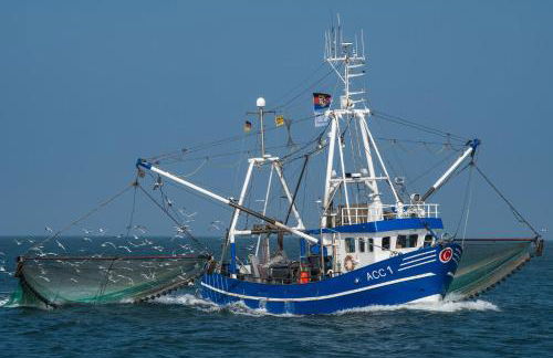 Top EG Rollstuhlwohnung 80qm zum Frühjahr- und Sommerpreis - Photo 5