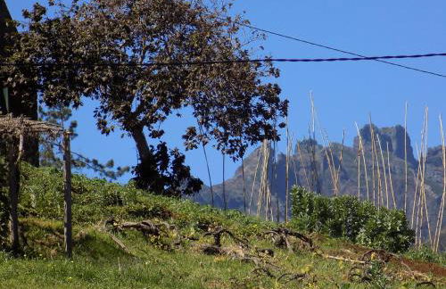 Pereira's house - Mountain & Sea - Photo 47