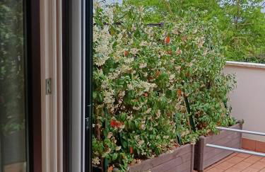 Cuore di toscana - Foto 7