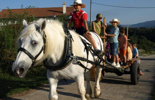 Charming house in Baráibar with mountain view - Foto 38