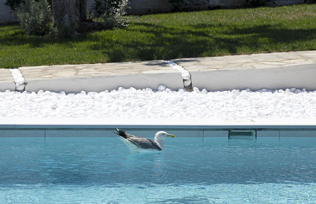 Lichnos Luxury Suite - Foto 4