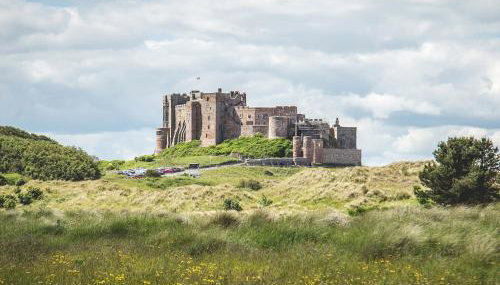 Harry's Den - Foto 2