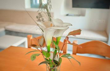 Maira Arch House - Foto 75