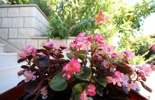 Apartment Ružica - Foto 19