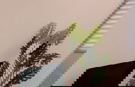 Voss Condominium - Foto 18