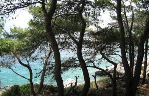 Apartments Bisko - Photo 9