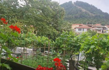 Relax Holistic House - Foto 37