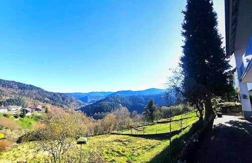 Ferienwohnung Panoramablick Bermersbach - Foto 1
