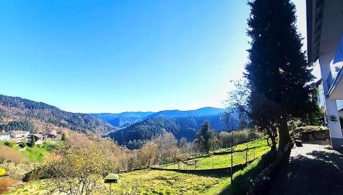 Ferienwohnung Panoramablick Bermersbach - Foto 1