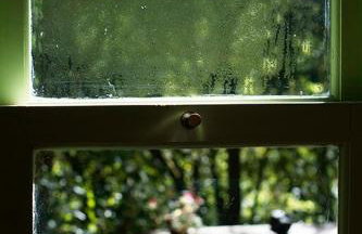 Alugo minha casa na floresta! - Foto 24