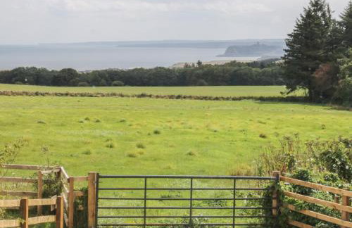 Castle View Cabin - Foto 16