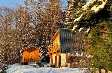 CHARMANT CHALET dans les monts du Forez - Foto 1