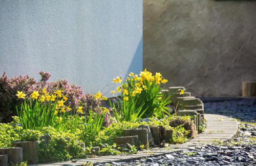 Pine Cones - Foto 27