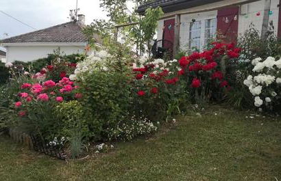 La Bulle Bleue Futuroscope - Foto 36