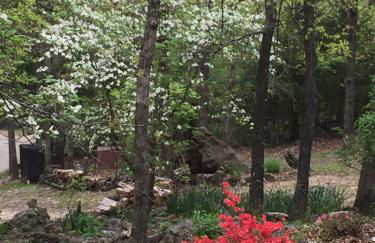 Cherokee mountain log cabin resort - Foto 66