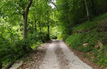 Barzio Paradise - Foto 25