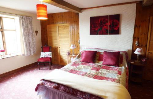 Arllen Fawr - Foto 14