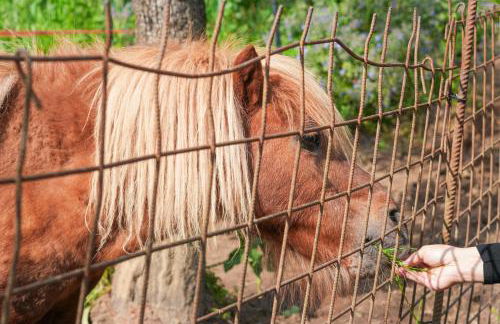 Il Nido di Erin - Photo 4