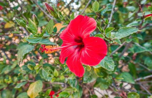 La casa del mar Nuimna - Foto 32