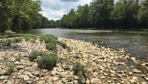 Updated 3bd Cottage on Bike Trail w/ River access! - Foto 3