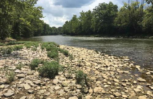 Updated 3bd Cottage on Bike Trail w/ River access! - Foto 3