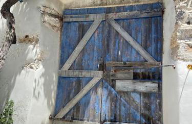 Gaia - TCupStudios - Foto 2