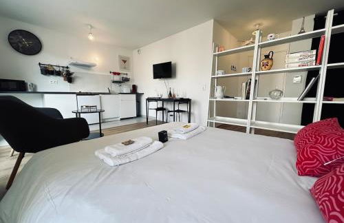 Bleuets studio cosy neuf terrasse proche centre - Foto 18