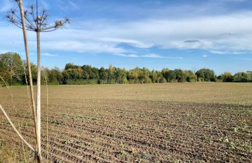 Totally Private, idyllic House with hot tub in an acre of private gardens - Foto 59