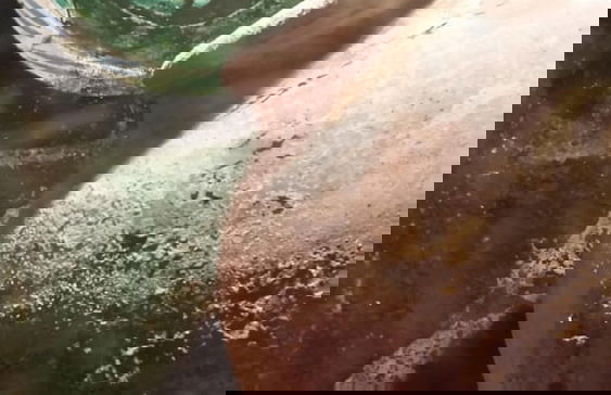 Casa Rural con encanto Los Postigos - Foto 54