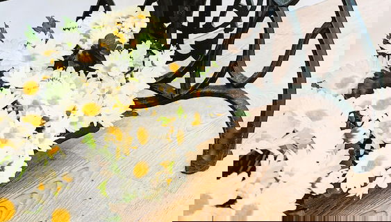 Lagarto Pintado Casa n'Aldeia - Foto 2, Sitzecke in der Lobby