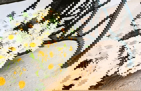 Lagarto Pintado Casa n'Aldeia - Foto 1