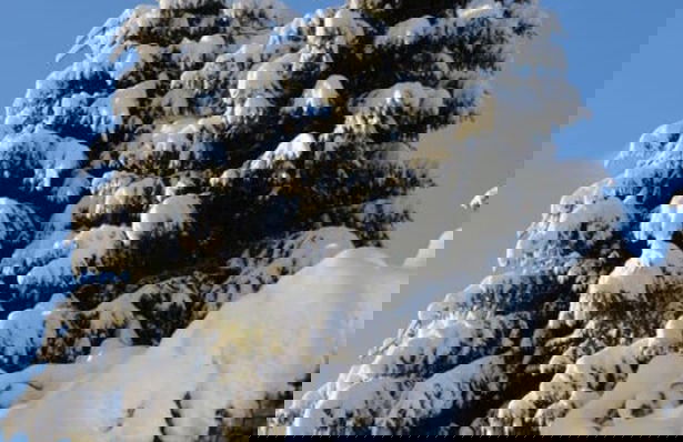 Holiday Apartment Sonia on the Lake - Photo 17